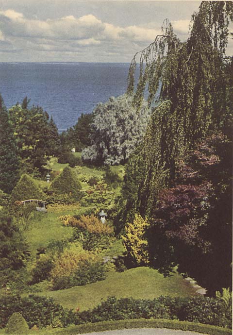 Västra Bjäre Norrvikens trädgårdar japanska