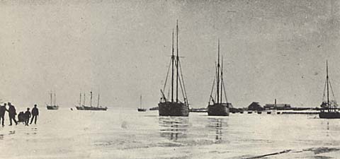 Ålem Pataholm redd vinterliggare 1890